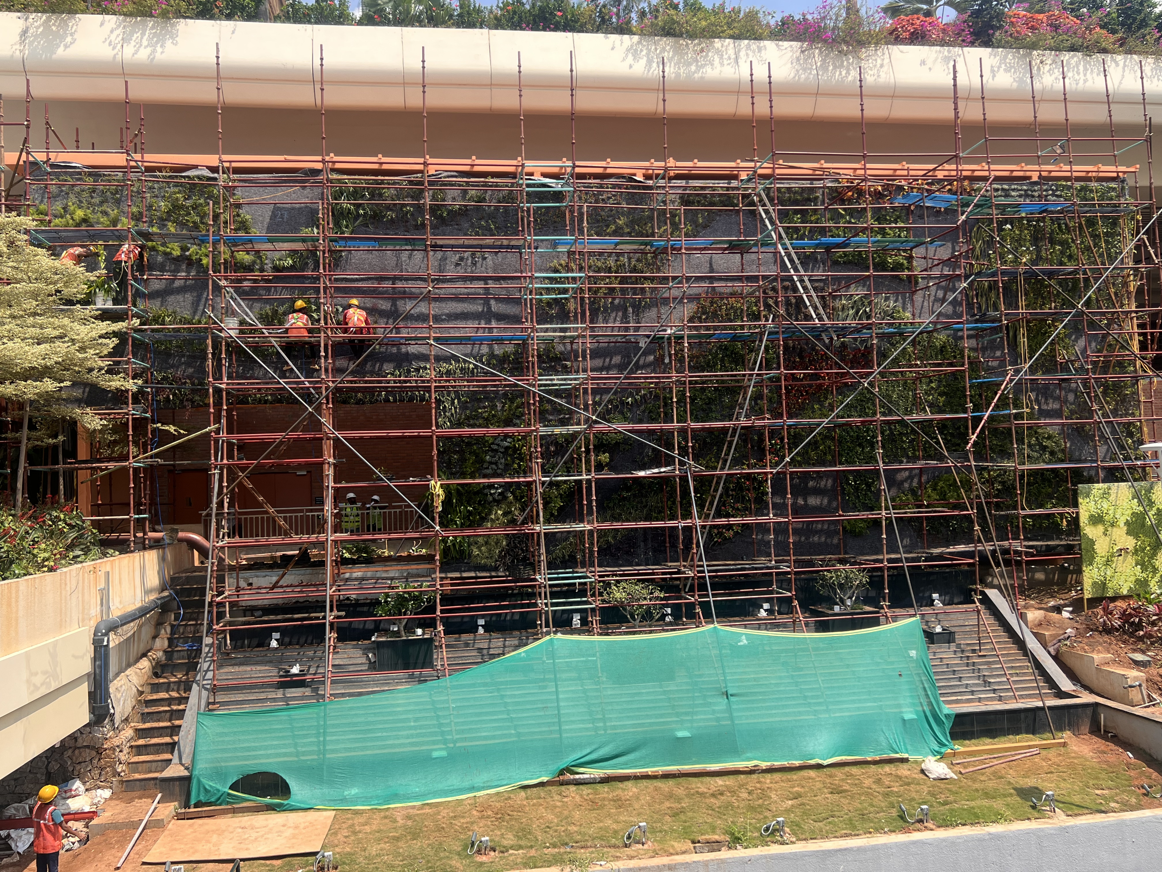 Wayfinding and canopy