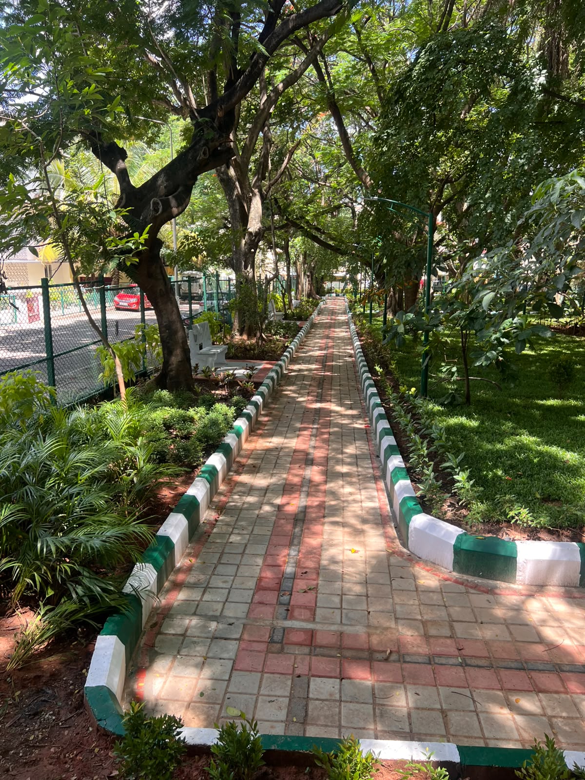 Potted plants and tropical greenery along the walkway